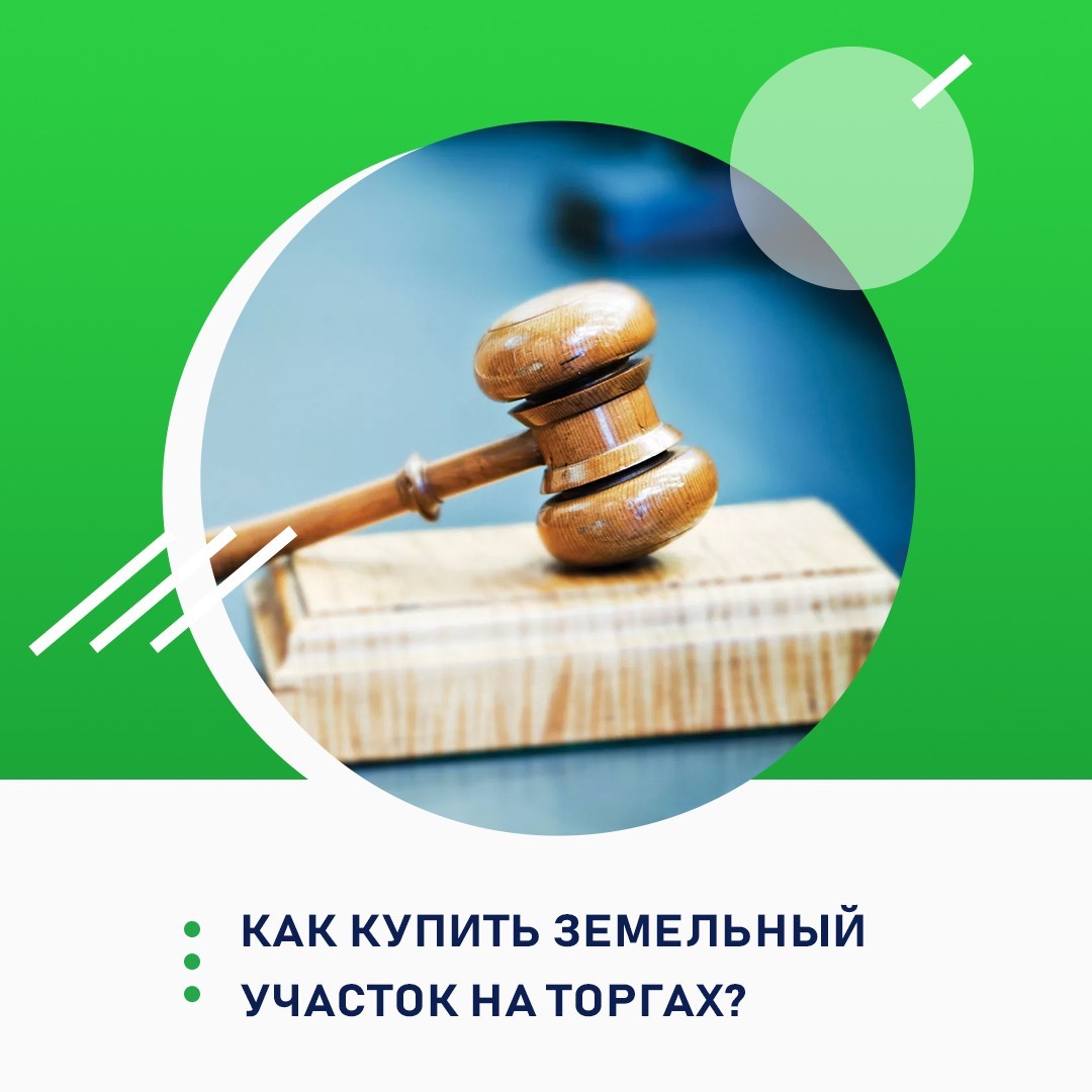Как купить земельный участок на торгах? 